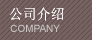 公司介绍