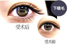 lower lashes image