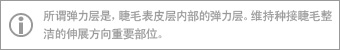 所谓弹力层是，睫毛表皮层内部的弹力层。维持种接睫毛整洁的伸展方向重要部位。